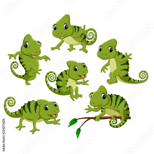 the collection of the green chameleon with different posing   