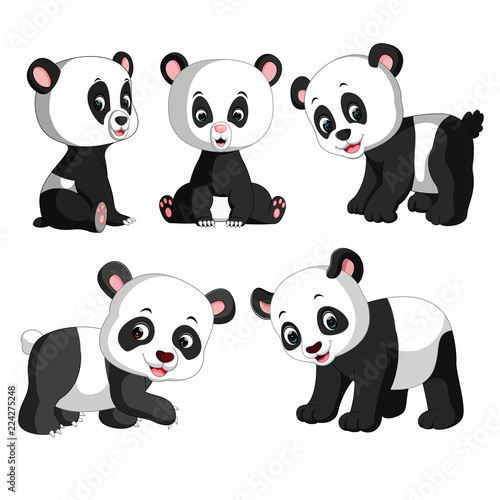 Fototapeta Naklejka Na Ścianę i Meble -  the collection of the cute panda with different posing 
