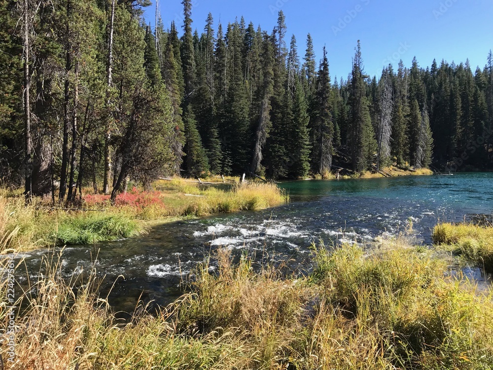 Fall at Blue Hole on the Deschutes River Fall at Blue Hole on the Deschutes River