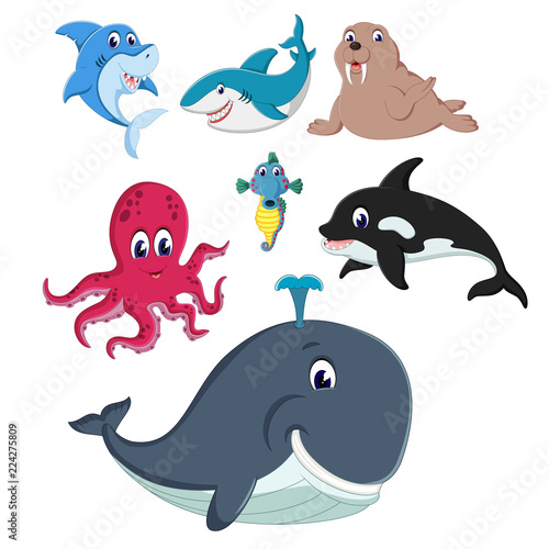 the collection of the fauna and animals in the sea with the different species 