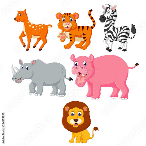 the collection of the wild animals in the different species 