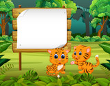 the beautiful nature view with the wooden board blank space and two cute tiger 
