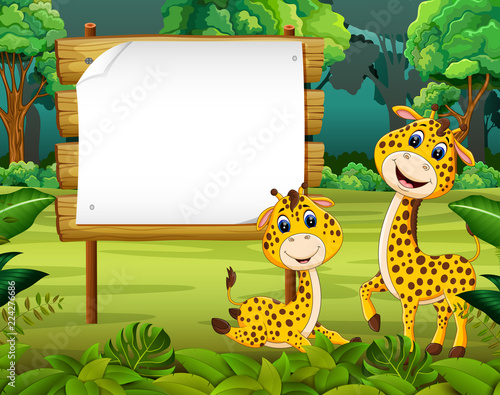 the nature view with the wooden board blank space and cute baby giraffe   