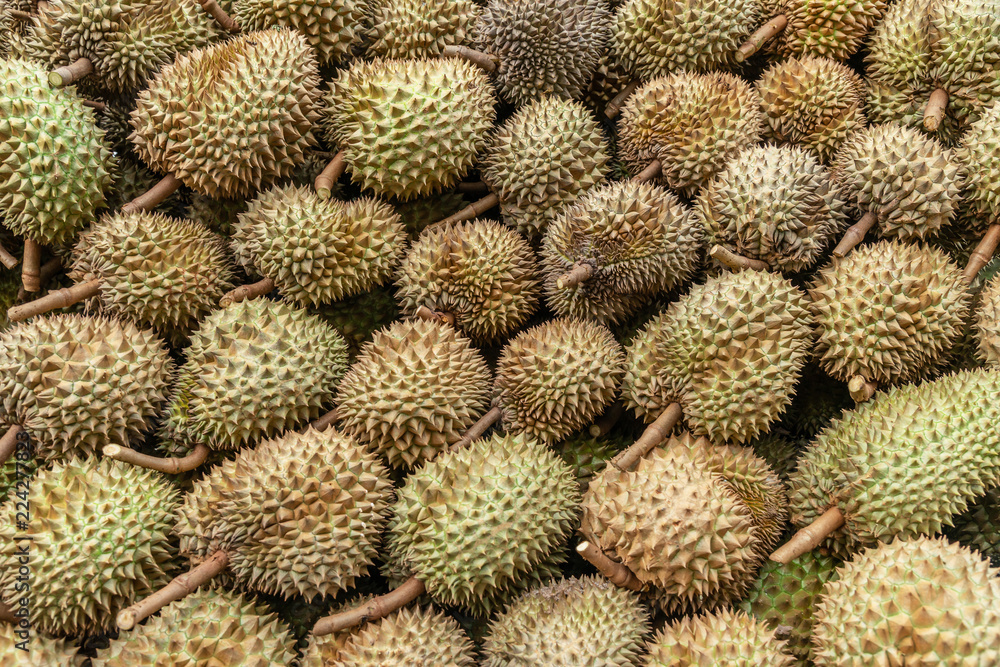 Durian king of fruit, Flat lay of Durian Background, Top view of Durian Fruit in Thailand... Durian king of fruit, Flat lay of Durian Background, Top view of Durian Fruit in Thailand...