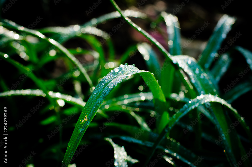 abstract green background with lots of light spots abstract green background with lots of light spots