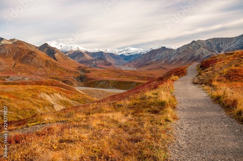A hiking trail to Mount Denali in Autumn