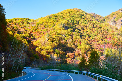 Trees are dressed in beautiful colors in Benxi of China. photo