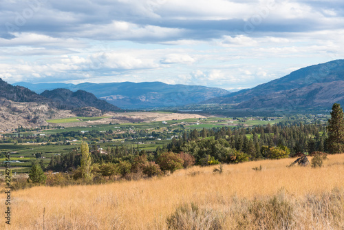 View of the Okanagan Valley, green fields, and town of Oliver in autumn