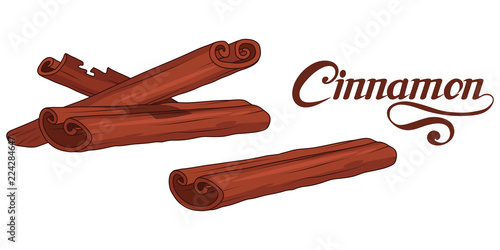 hand drawn cinnamon sticks, spicy ingredient, cinnamon logo, healthy organic food, spice cinnamon on white background, culinary herbs, label, food, natural healthy food, vector graphic to design