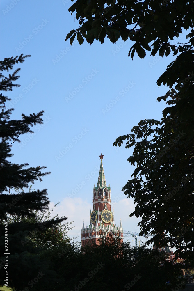 Naklejka premium Spasskaya tower of Moscow kremlin framed by trees