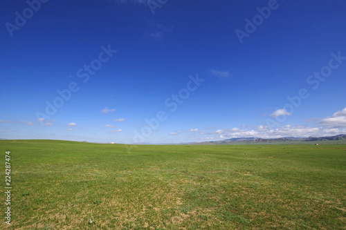 モンゴルの大平原
