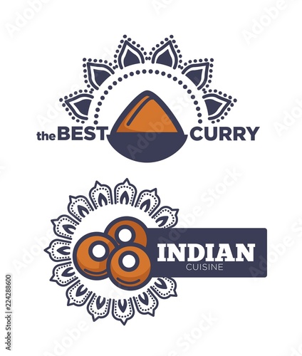 Best curry Indian cuisine poster with sauce vector