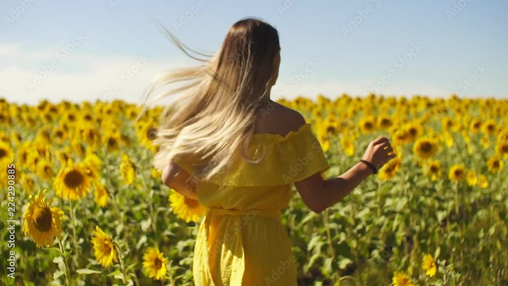 A young girl in a yellow dress runs in sunflowers. Slow motion. HD A young girl in a yellow dress runs in sunflowers. Slow motion. HD