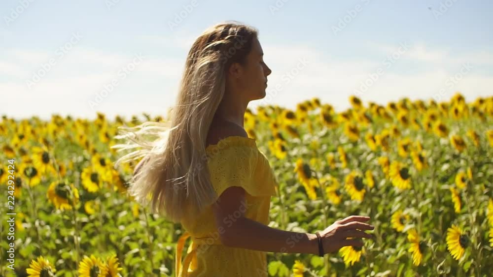 A young girl in a yellow dress runs across the field in sunflowers. Slow motion. HD A young girl in a yellow dress runs across the field in sunflowers. Slow motion. HD