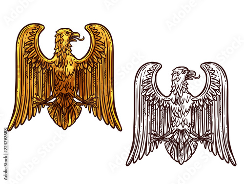 Eagle heraldic symbol. Sketch and gold bird