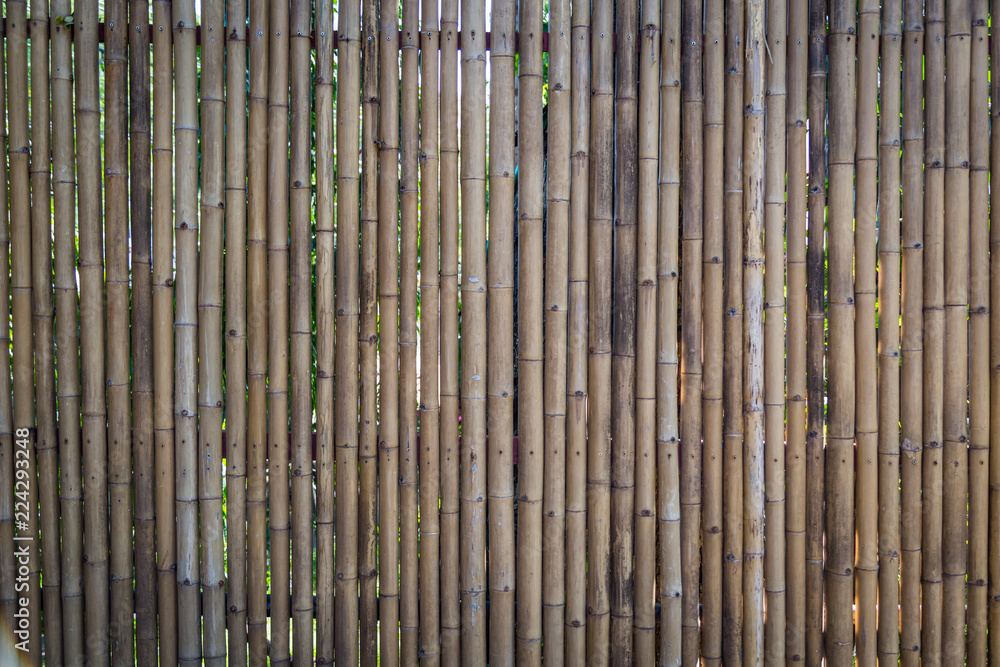 Nature bamboo fence Nature bamboo fence