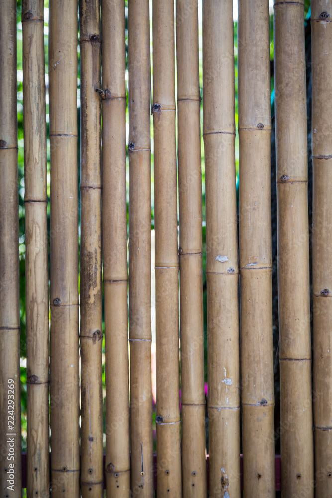 Nature bamboo fence Nature bamboo fence
