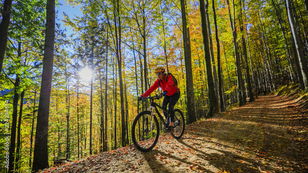 Cycling, mountain biking woman on cycle trail in autumn forest. Mountain biking in autumn landscape forest. Woman cycling MTB flow uphill trail.