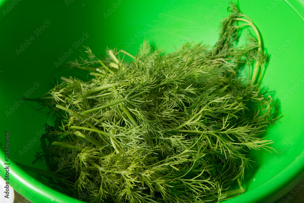Fototapeta premium bunches of dill stacked in green bowl