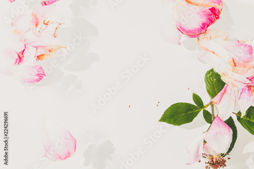 Romantic abstraction. Petals of withered roses on white background © glebchik