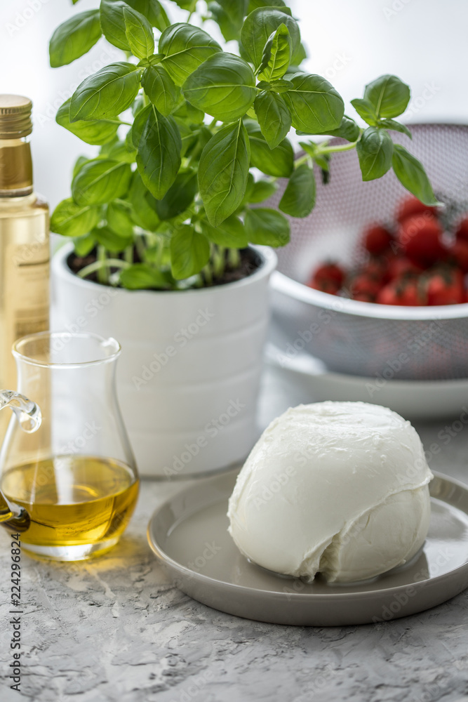 Büffelmozzarella Kugel mit Zutaten wie Tomaten im Sieb, Basilikum Kräutertopf, Olivenöl und weißer Balsamico Büffelmozzarella Kugel mit Zutaten wie Tomaten im Sieb, Basilikum Kräutertopf, Olivenöl und weißer Balsamico