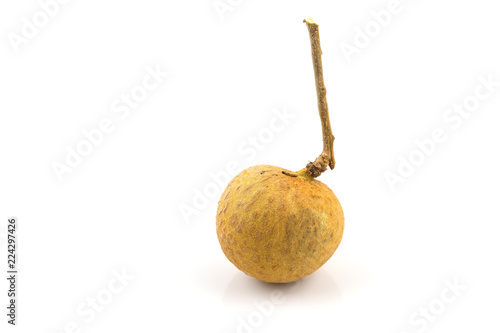 fruit fresh longan