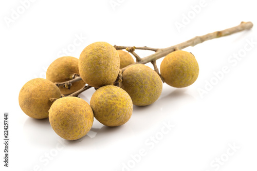 fruit fresh longan