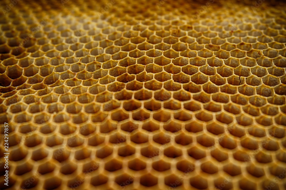 bee wax texture