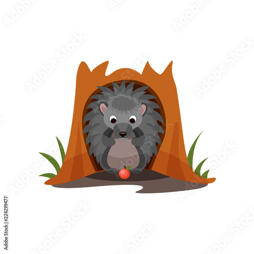 Cute hedgehog sitting in hollow of tree vector Illustration on a white background