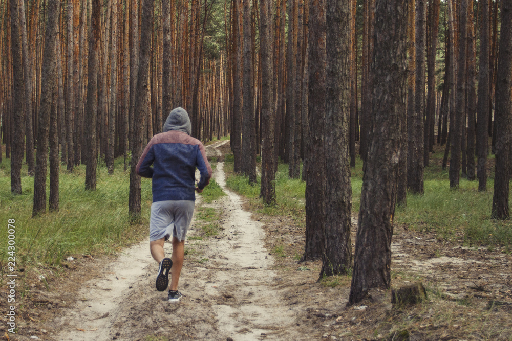 Man in a hoodie running in a pine forest. Concept of training in Man in a hoodie running in a pine forest. Concept of training in