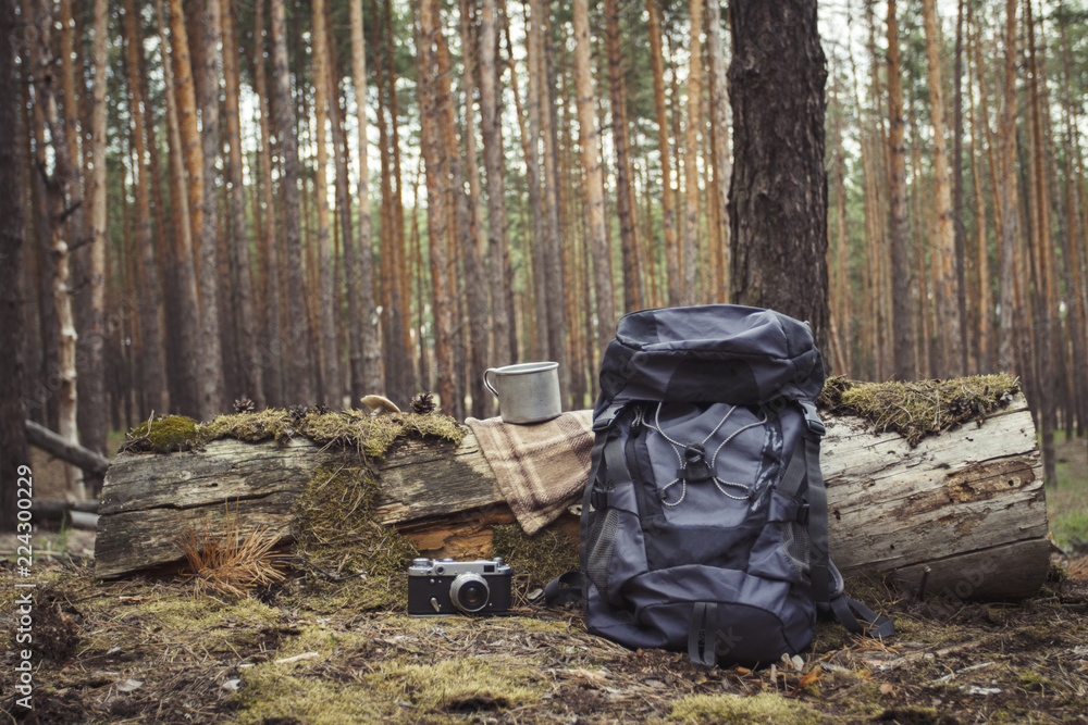 Obraz premium Tourist backpack, metal mug, camera in the forest. Concept of a