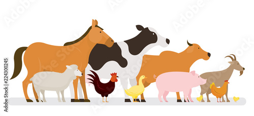 Group of Farm Animals, Side View