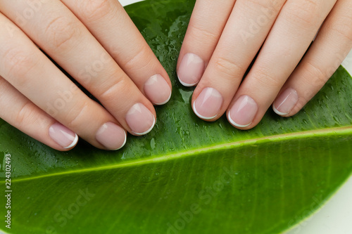 Spa manicure. Beautiful female hands with green leaves on white table