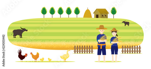 Thai Farmer with Rice and Paddy Field Background, Countryside Scene