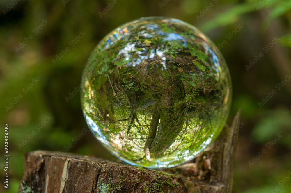 cristal ball reflection