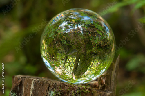 cristal ball reflection