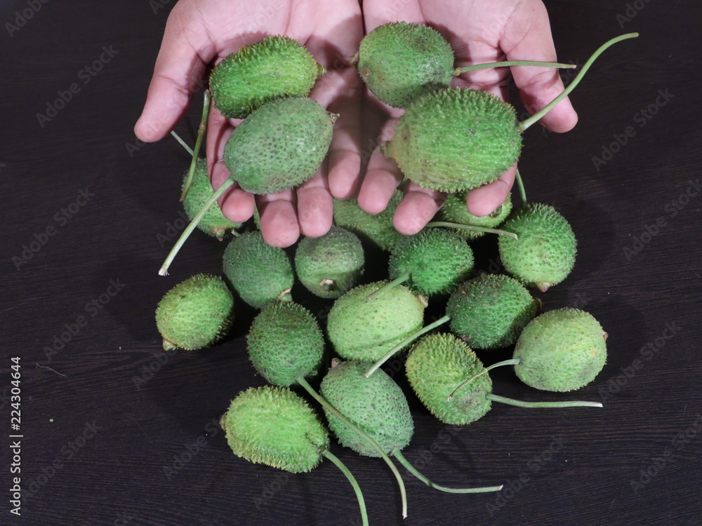 Foto Stock spiny gourd (Kantola),Spiny Gourd or Kantola vegetable