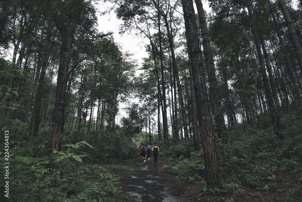 trekking couple in forest