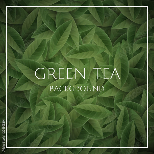 Green tea leaves background