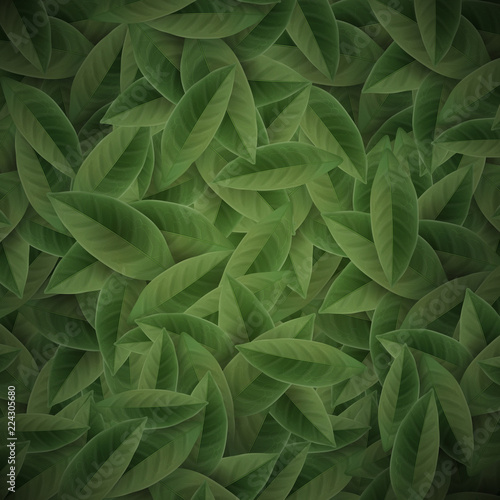 Green tea leaves background