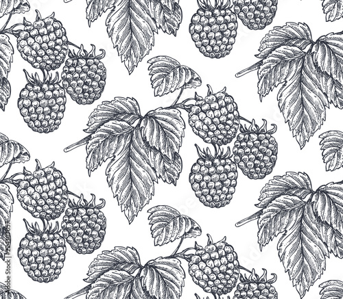 Vector seamless pattern with hand drawn raspberries in sketch style.