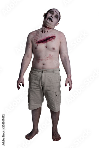 Obraz na płótnie Male zombie standing over white background