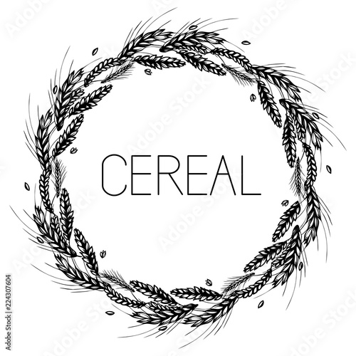 Rye, barley and wheat round frame or wreath. Black and white hand drawn sketch for bakery, beer, cereals design. JPG include isolated path