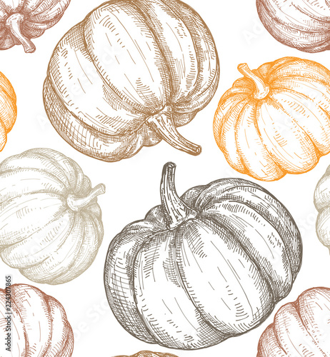 Vector hand drawn sketched pumpkin seamless pattern