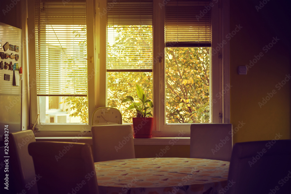 Fototapeta premium Dinning Room
