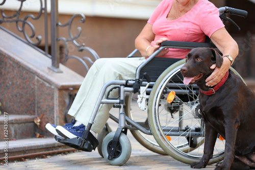 Senior woman in wheelchair and her dog near stairs outdoors © Pixel-Shot