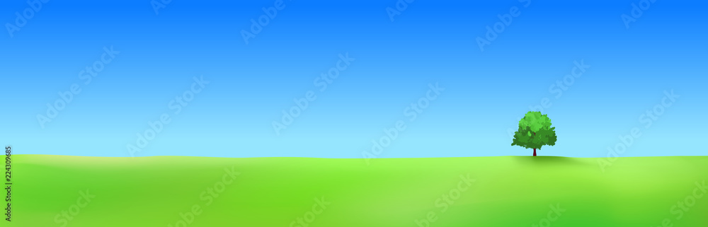 Fototapeta premium Vast landscape . Scenery with one tree