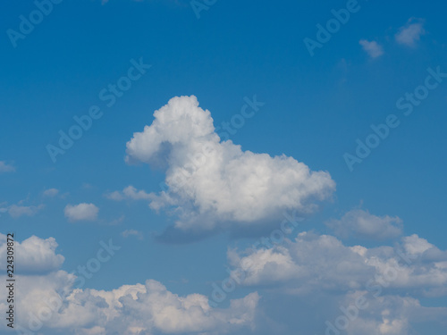 Poodle cloud blue sky