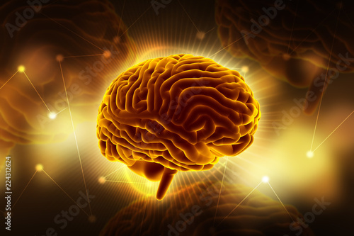 Photos 3d rendered Human Brain isolated on color background