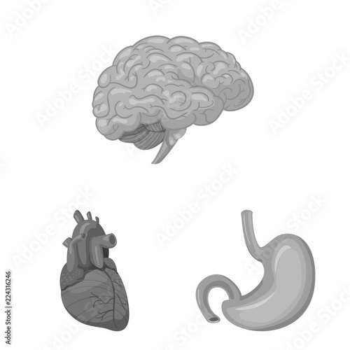 Vector illustration of body and human icon. Collection of body and medical vector icon for stock.